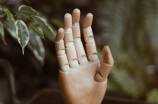 食指简介：探秘人类独特的手指