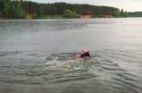马拉松游泳(马拉松游泳：一场极具挑战的水上长跑)
