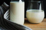 燕麦奶的主要成分是什么(一起来揭秘燕麦奶的主要成分是什么)